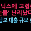 삼전닉스에 고령층 피눈물 난리났다 증권사 주식담보 대출 충격 (2026.8.10) 성창경TV﻿ 이미지