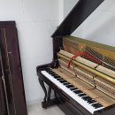 에꼬르앙팡어린이집 이미지