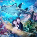 돈10000원 이미지