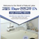 씰리 메모리폼 토퍼(6.0cm) 코스트코 온라인몰 구매 후기