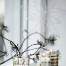 빌레하우스 이미지