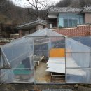 딱!여그서 이미지