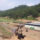 칠량농장 이미지