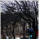 종로-종로-종로-종-125 이미지