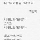 아로야 Daum카페
