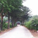 성재(惺齋) 이미지