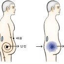 단전한의원 이미지