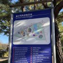 축구 K리그 울산 현대 VS 포항 스틸러스 직관 후기( 문수축구경기장 / 예매 좌석 / 주차)