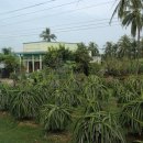 용등농장 이미지