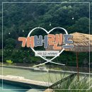 개버랜드 | 대전 근교 보은 애견펜션 개버랜드, 4번째 재방문 후기 내돈내산 찐추천하는 곳