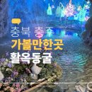 광업농장 | 아이와 함께 즐긴 충북 충주 활옥동굴 카약 후기와 여행 코스 정리