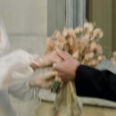 대구지방조달청 | 💍 결혼 준비 시작 : 플래너 없이 어플로 웨딩홀 예약방문(서초지역)