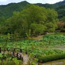 공작산생태숲 이미지