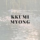꾸미myong