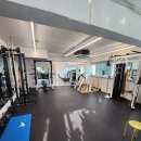 파인드 미 짐 이미지