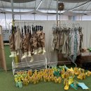 조동농장 이미지