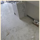 더뉴홈케어 네이버블로그