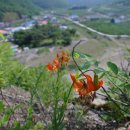 춘산 이미지
