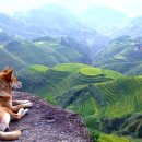 하늘풍경 이미지