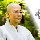 천년가요 이미지