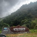먹고가리분식 | 속초야 기다렸어 어서와