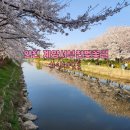 길주공원 | 인천 계양 벚꽃명소 I 계양 서부천벚꽃길 주차, 위치, 방문후기 + 인천 자유공원 벚꽃축제정보