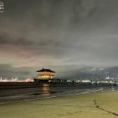 펫크루즈 | 포항 울릉 크루즈 애견 동반 이용후기:) 뉴씨다오펄호 펫룸 6인실 이용!