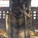 진주 상평동 석조여래입상 이미지