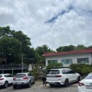 월척오리 이미지