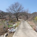가람부동산중개사무소 티스토리