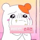 손블리 이미지