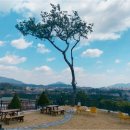 용두대로7길 | [충청북도 제천시] 제천 아열대스마트온실