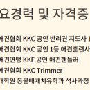 시우스쿨링 이미지