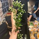 제이제이스테이