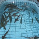 즘골마을 이미지