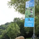 아리바우길 | 파란 하늘, 푸른 초원, 강원 바이브 가득한 &lt;2024 아리바우길 멍때리기 대회&gt; 후기