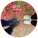 옹기에 빠진 짬뽕 | 일상기록, 치팅데이와 등산까지 소소한 이야기들!