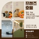 도그 프렌즈 이미지