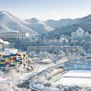 조선대학교 이미지