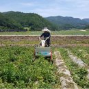 가래울농장 이미지