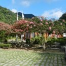 세심자연휴양림 이미지