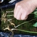 딴산민박 이미지