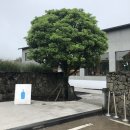 272-2133 | 2023년 여름 제주도여행 3일차 복귀하는날 (스누피가든 볼거리가 좋아요)