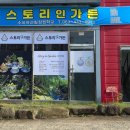 진안읍 1381 이미지