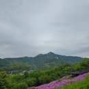 당고개공원앞 Daum카페