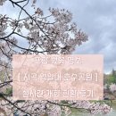 지곡공원 | 포항 벚꽃 명소 지곡 영일대 호수공원 실시간 개화 현황 다녀온 후기