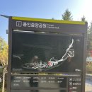 백옥대로1081번길 이미지