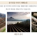 풍기인삼제조원 이미지