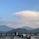 빌라누트 이미지