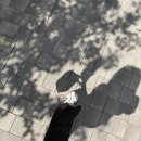 쿵더쿵떡집